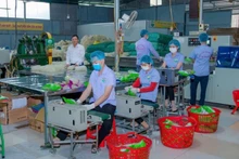 The noodle packaging workshop of Hung Lo Rice Noodle Cooperative in Van Phu Ward, Phu Tho Province. (Photo: nhandan.vn)