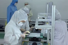 Assembling export-bound laptops at Heesung Electronics Viet Nam Co., Ltd.’s factory in Trang Due Industrial Park, An Duong district, Hai Phong city. (Photo: VNA)