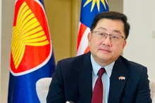Dato’ Tan Yang Thai, Ambassador of Malaysia to Viet Nam. (Photo: nhandan.vn)