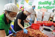 Pre-processing lychee for export at Chanh Thu Fruit Import-Export Group Joint Stock Company. (Photo: MINH ANH)