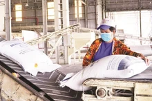 The rice production line of Trung An High-Tech Agriculture Joint Stock Company. (Photo: nhandan.vn)