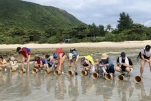Visitors experience releasing sea turtles back into the ocean at Con Dao National Park.