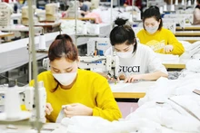 In the first nine months of 2025, around 230,000 enterprises nationwide were newly established or resumed operations. (Photo: THANH DAT)