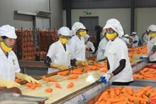 In the first 10 months of 2025, Viet Nam’s fruit and vegetable exports reached 7.09 billion USD, up 15% year-on-year.