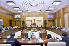 At the meeting (Photo: VNA)