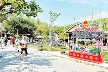The festive atmosphere of the national election day is vibrant on Tan Hiep Island Commune, Da Nang City.