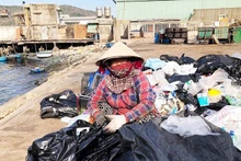 Plastic waste collection at a port in Quy Nhon (former). (Illustrative photo)
