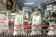 Urea production at Ninh Binh Nitrogen Fertiliser One Member Limited Liability Company.