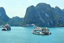Tourist boats take visitors to explore Ha Long Bay.