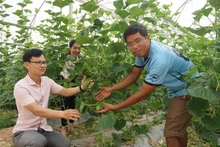 Tran Xuan Dang (right) introduces the growth mechanism of melon plants. Photo: VAN HOC