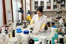 Research activities at Sao Thai Duong Company. (Photo: DUC TUNG)