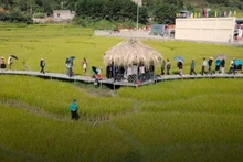Golden Season Festival in the Soong Co region, Tien Yen. (Photo: nhandan.vn)