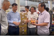 Inspecting the quality of lychees upon arrival in France. (Photo: nhandan.vn)