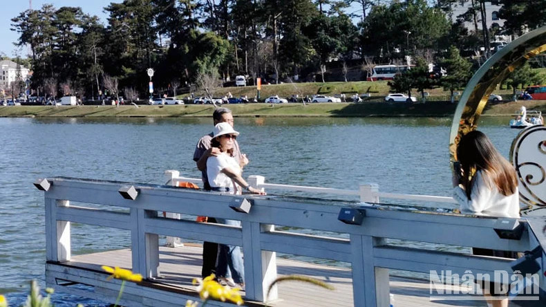 Visitors take photos in the land of flowers. Visitors take photos in the land of flowers.