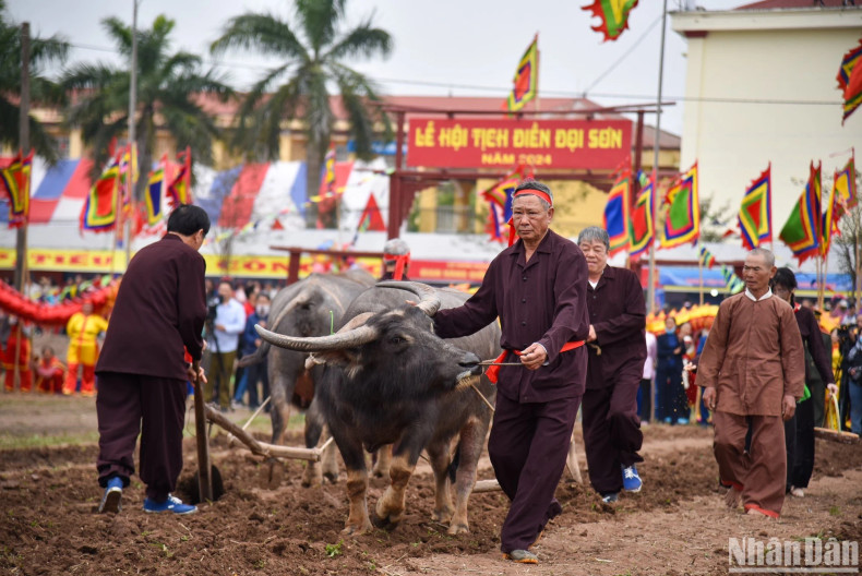 The King will carry out three ploughing lines with the hope for a year of favourable weather, good harvests, and prosperity. The King will carry out three ploughing lines with the hope for a year of favourable weather, good harvests, and prosperity.