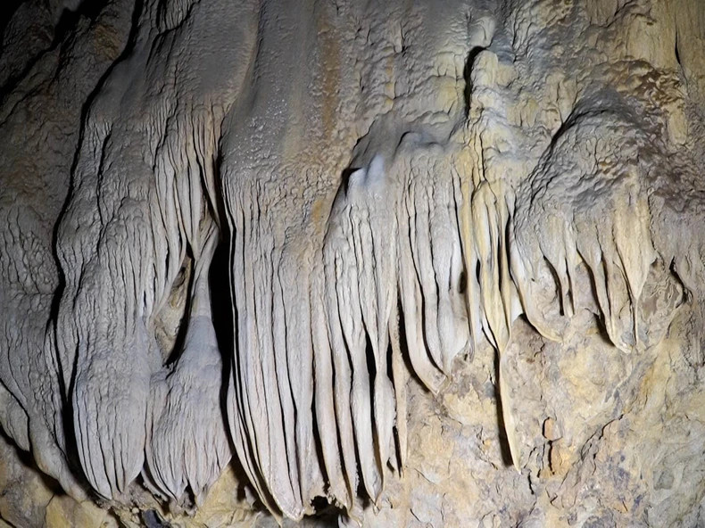 All visitors are very excited at the strange stalactites in the cave.