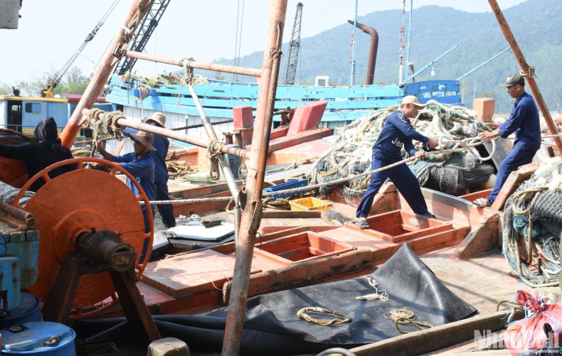 The weather in Da Nang is favourable for fishermen to concentrate their human resources to prepare carefully for the first sea trip of the year. The weather in Da Nang is favourable for fishermen to concentrate their human resources to prepare carefully for the first sea trip of the year.