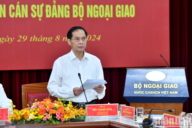 Deputy Prime Minister and Minister of Foreign Affairs Bui Thanh Son delivers a speech.