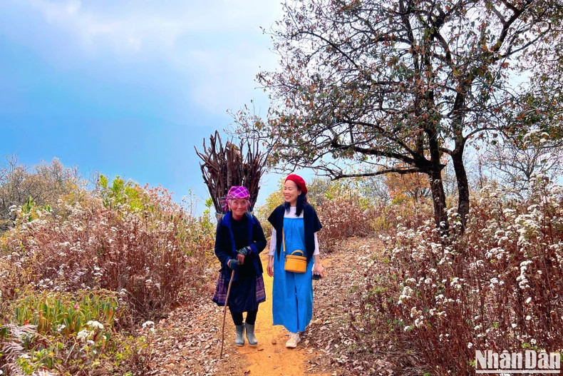 H'Mong people in Nam Nghiep are very innocent and honest. They always show friendliness and hospitality.