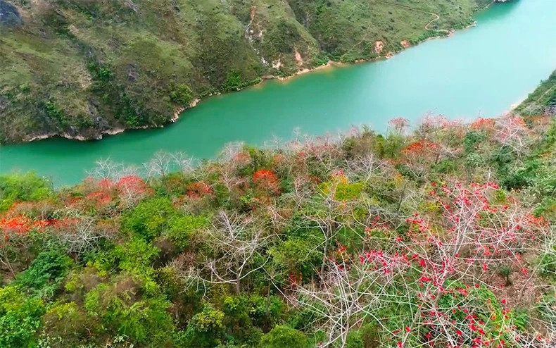 Nho Que River (in Ha Giang) during bombax flower season in the MV “Huong moc mien” (The fragrance of Bombax ceiba flower) by Vu Thang Loi.