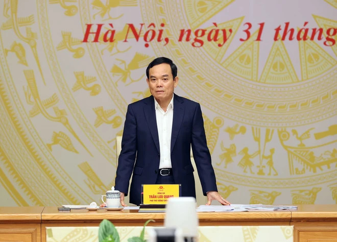 Deputy Prime Minister Tran Luu Quang speaks at the meeting. (Photo: VNA)