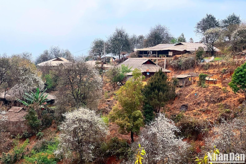 The village has now seven homestays. The simplicity, uniqueness, and closeness to nature are attractive highlights for visitors to this location.