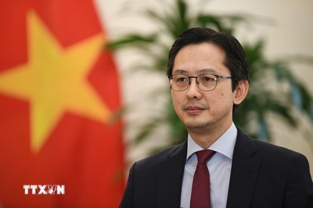 Vietnamese Deputy Minister of Foreign Affairs Do Hung Viet. (Photo: VNA)