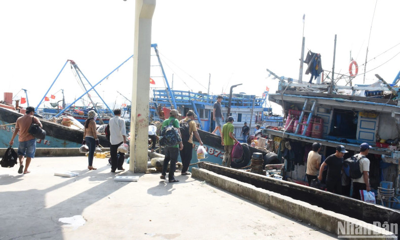 Many fishing boats of fishermen in Da Nang and the central region anchored and left the port for the first fishing trip of the year. Many fishing boats of fishermen in Da Nang and the central region anchored and left the port for the first fishing trip of the year.