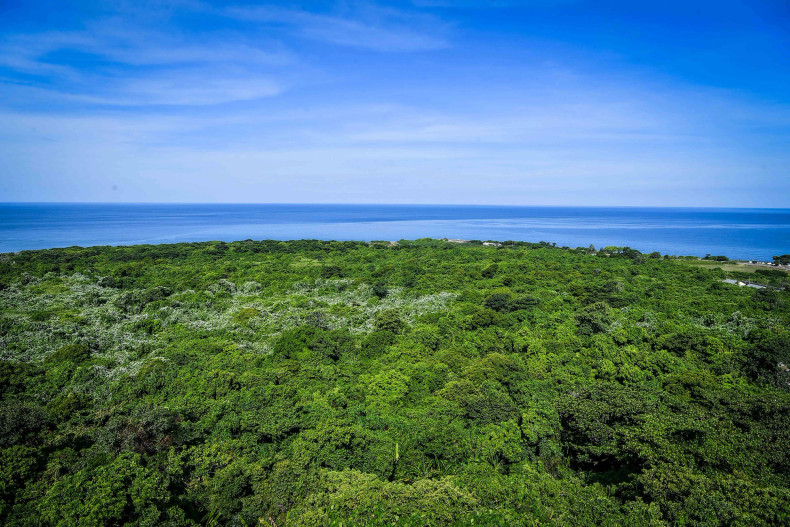 Con Co is an outlying island district of the country, situated offshore from the 17th parallel. It is renowned for its role in the fight against the Americans and is famous for three "specialties" that have become its symbols: ‘phong ba’, ‘bang vuong’ and ‘cua da’.