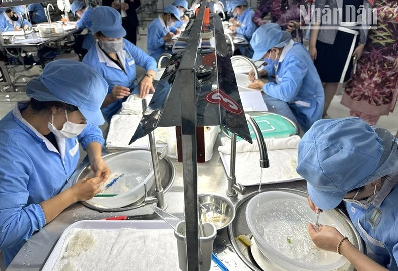 The processing of bird's nest products at Thanh Dung Bird's Nest Import-Export Joint Stock Company in Krong Pac District. The processing of bird's nest products at Thanh Dung Bird's Nest Import-Export Joint Stock Company in Krong Pac District.