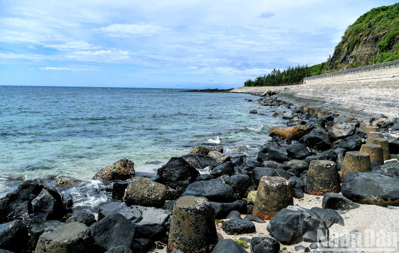Upon arriving at Con Co, visitors can admire the pure blue sea surrounding the island. The coastline around the island is lined with breakwaters, revealing unique and distinctive basalt rock formations. Upon arriving at Con Co, visitors can admire the pure blue sea surrounding the island. The coastline around the island is lined with breakwaters, revealing unique and distinctive basalt rock formations.