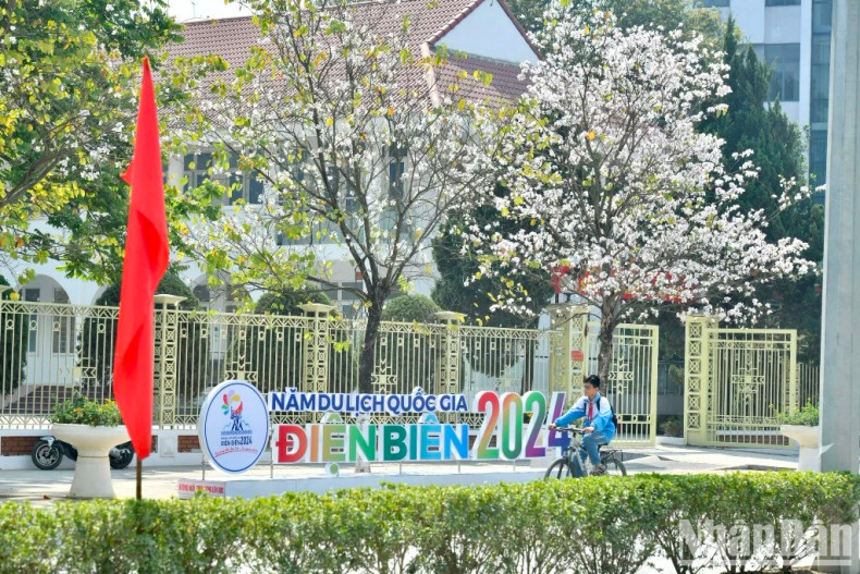 The 2024 National Tourism Year – Dien Bien will be associated with the Hoa Ban (Bauhinia) Flower Festival.