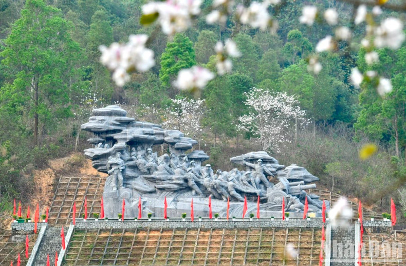 Bauhinia flowers are in full bloom next to the cluster of firecracker monuments in Na Nhan Commune, Dien Bien Phu City.