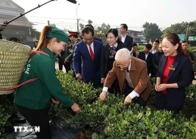 Party General Secretary Nguyen Phu Trong visits the tea garden of Hao Dat Cooperative in Thai Nguyen City.