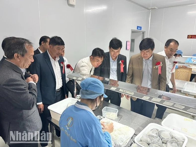 The delegates visit the bird's nest processing facility of Thanh Dung Bird's Nest Import-Export Joint Stock Company. The delegates visit the bird's nest processing facility of Thanh Dung Bird's Nest Import-Export Joint Stock Company.