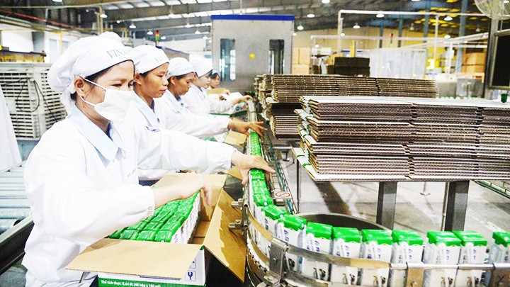 Vinamilk, a Vietnamese joint-stock company, is a high-value brand in the international market. (Photo: TRONG HIEU) Vinamilk, a Vietnamese joint-stock company, is a high-value brand in the international market. (Photo: TRONG HIEU)