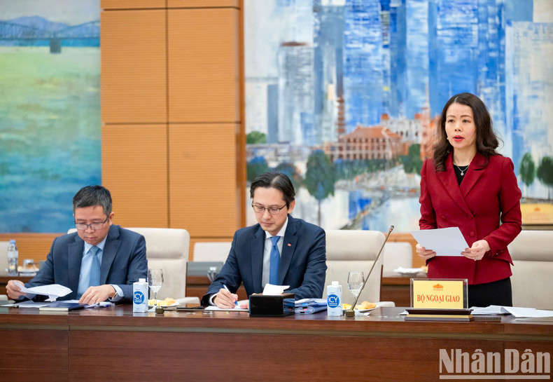 Deputy Minister of Foreign Affairs Nguyen Minh Hang speaks at the meeting.