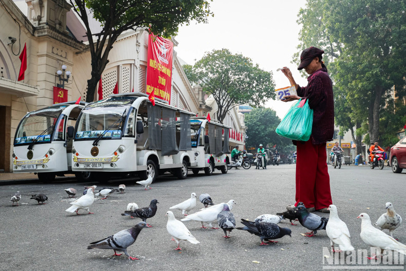 People leisurely feed the pigeons, which is a familiar image that embodies the essence of Hanoi. People leisurely feed the pigeons, which is a familiar image that embodies the essence of Hanoi.