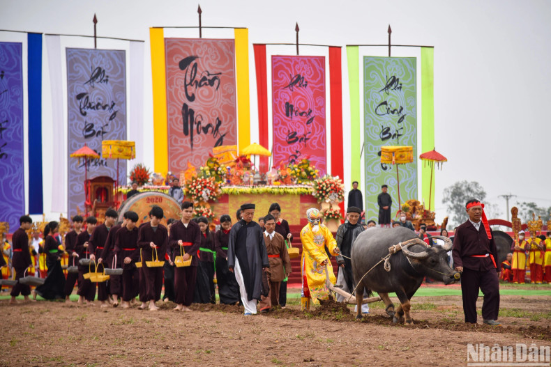 Then the person, who plays the role of King Le Dai Hanh, dresses in imperial robe (with dragon design) and mask will go to the fields to plough. Then the person, who plays the role of King Le Dai Hanh, dresses in imperial robe (with dragon design) and mask will go to the fields to plough.