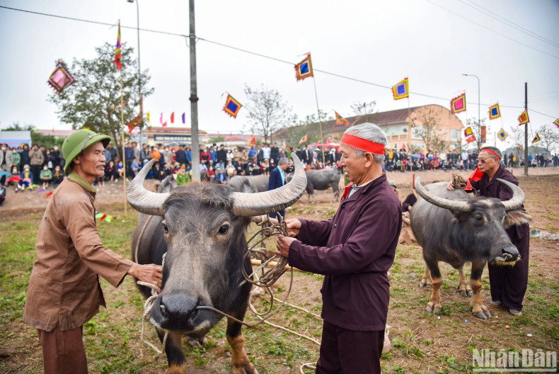 The festival is a ceremony of the King ploughing to encourage people to take care of farming and agricultural development. In the spring of 987 during the Le Dynasty, King Le Dai Hanh decided to plough a field in Doi Son Commune and found a golden jar. The festival is a ceremony of the King ploughing to encourage people to take care of farming and agricultural development. In the spring of 987 during the Le Dynasty, King Le Dai Hanh decided to plough a field in Doi Son Commune and found a golden jar.