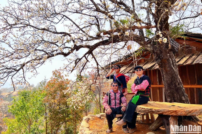 Some owners of homestays, such as Thao A Vang and Khang A Len, are very enthusiastic about developing community-based tourism as well as learning from successful models in other localities while finding ways to connect and work together.