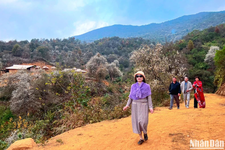 Coming to Nam Nghiep, visitors can walk around the village, breathe in the pure highland air, admire flowers, and take photos with flowers.