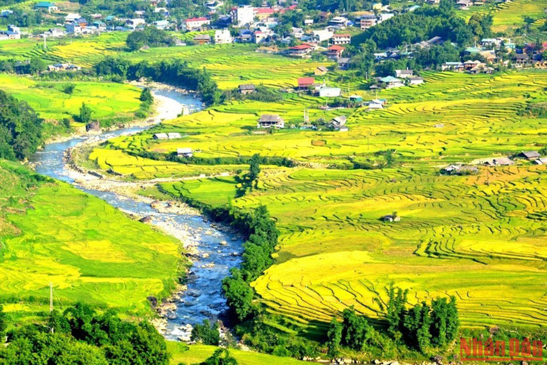 The stream flowing along the Muong Hoa valley makes the yellow rice terraced fields more beautiful. The stream flowing along the Muong Hoa valley makes the yellow rice terraced fields more beautiful.