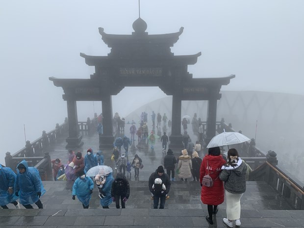 Snowy Sa Pa attracts crowds (Photo: VNA)