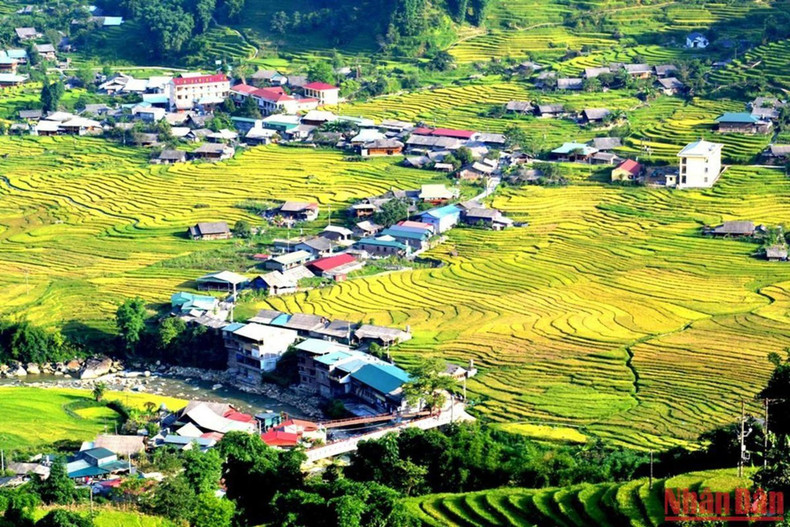The Giay people in Ta Van commune gather in the lowlands at the foot of the majestic Hoang Lien Mountain. The Giay people in Ta Van commune gather in the lowlands at the foot of the majestic Hoang Lien Mountain.
