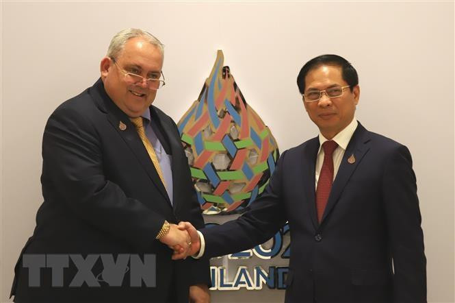 Minister Bui Thanh Son (right) and Minister of Papua New Guinea Justin Tkatchenko (Photo: VNA)