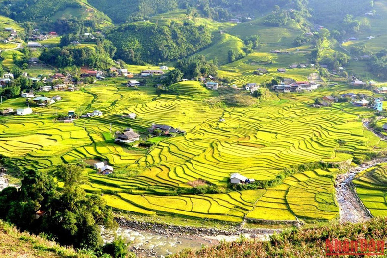 The terraced fields are as majestic as the fingerprints The terraced fields are as majestic as the fingerprints