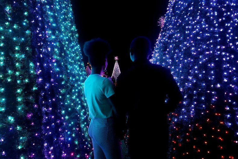 'Digital Christmas Forest' at the Royal Botanic Gardens in Sydney, Australia. (Photo: Getty)