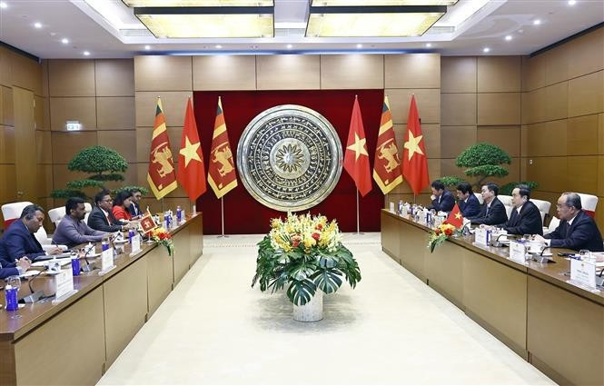 An overview of the meeting (Photo: VNA) An overview of the meeting (Photo: VNA)