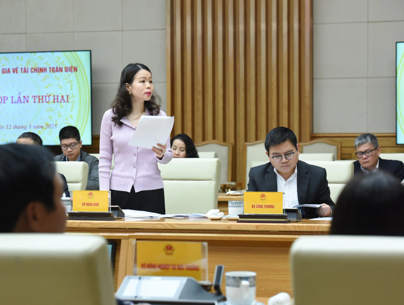 Deputy Minister of Foreign Affairs Nguyen Minh Hang speaks at the meeting. Deputy Minister of Foreign Affairs Nguyen Minh Hang speaks at the meeting.